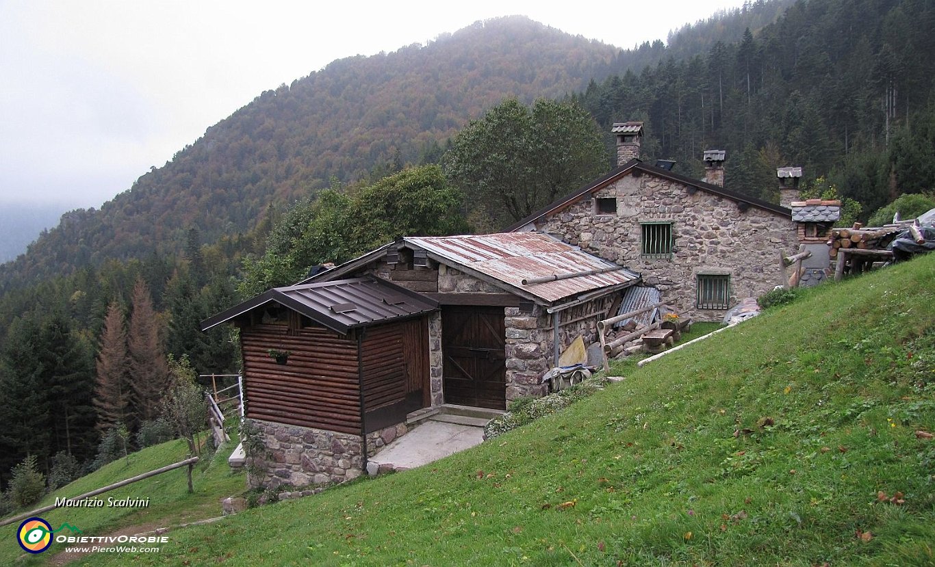 18 Proseguo in salita nei pascoli dietro le Baite Fosco - Dello Zucco....JPG